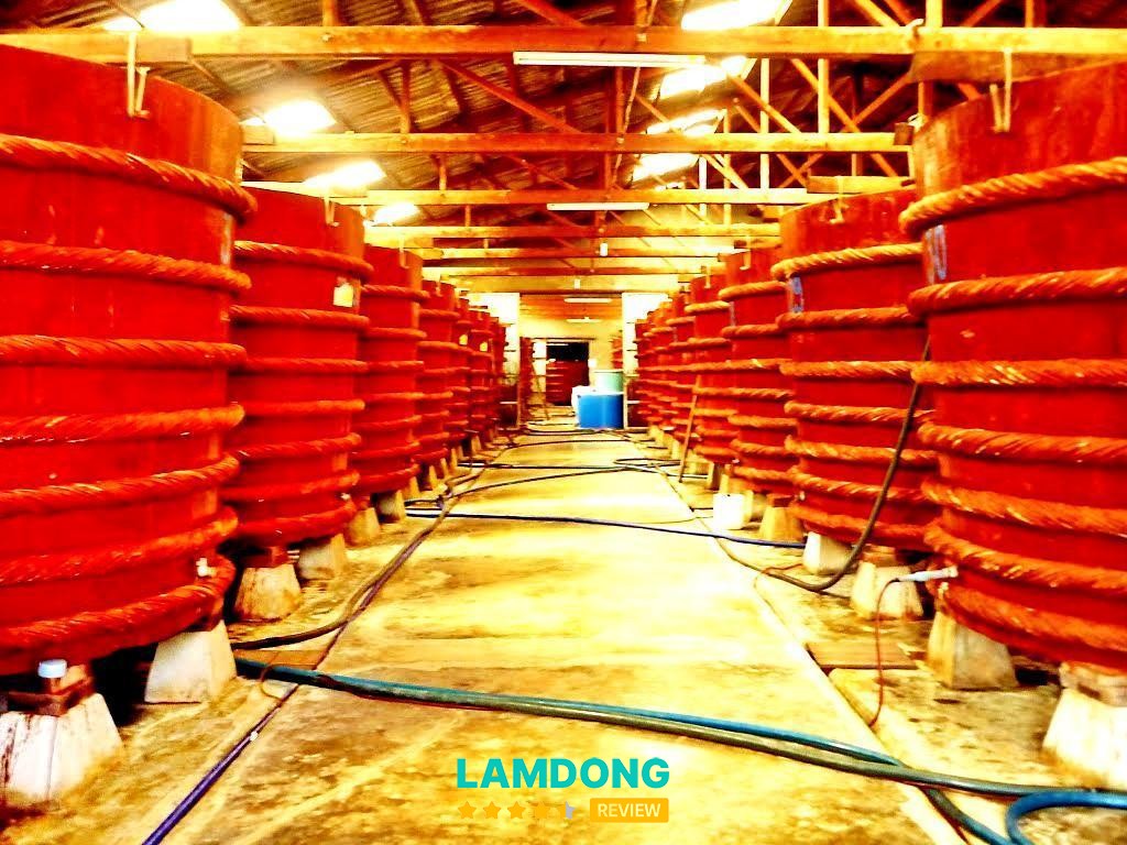 Thuận Hoà – đặc sản biển mua làm quà