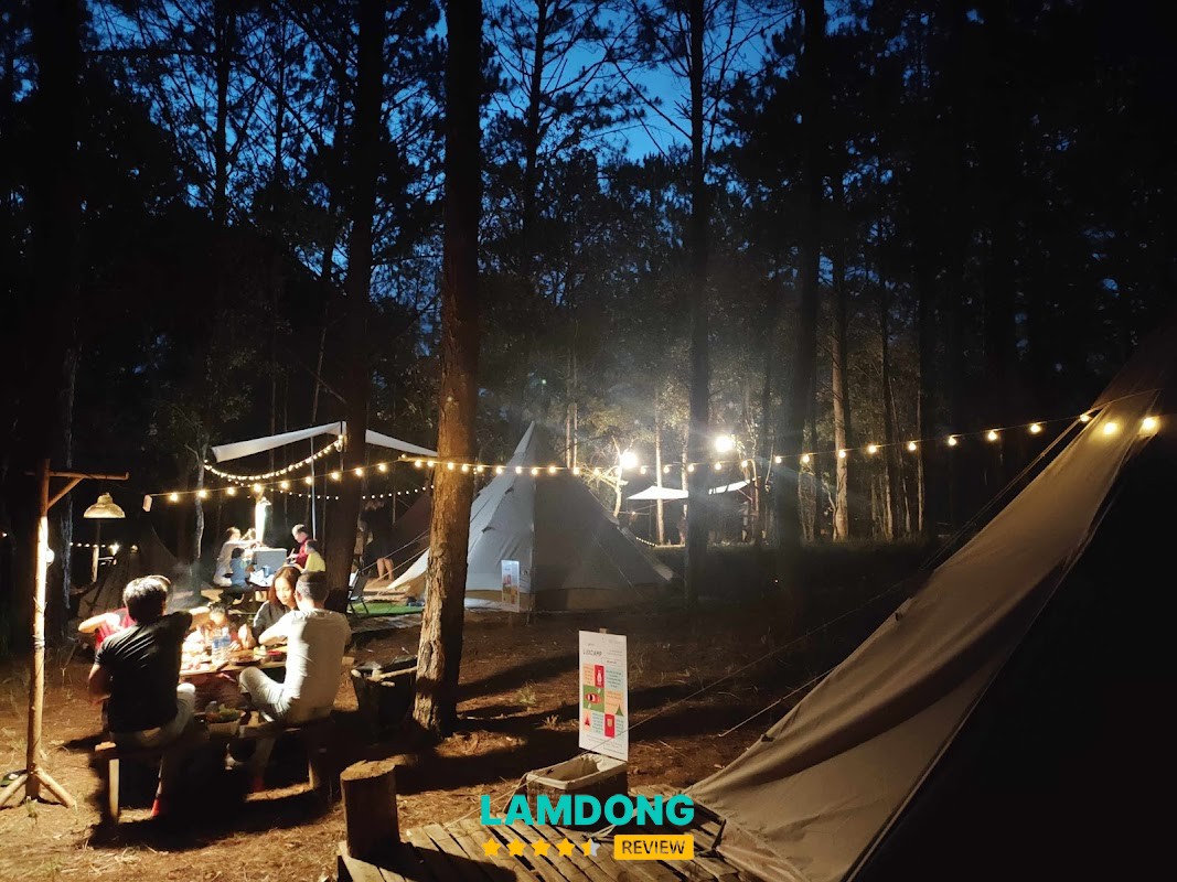 Khu Dã Ngoại Lux Camp Đà Lạt – Hoa Cẩm Tú Cầu
