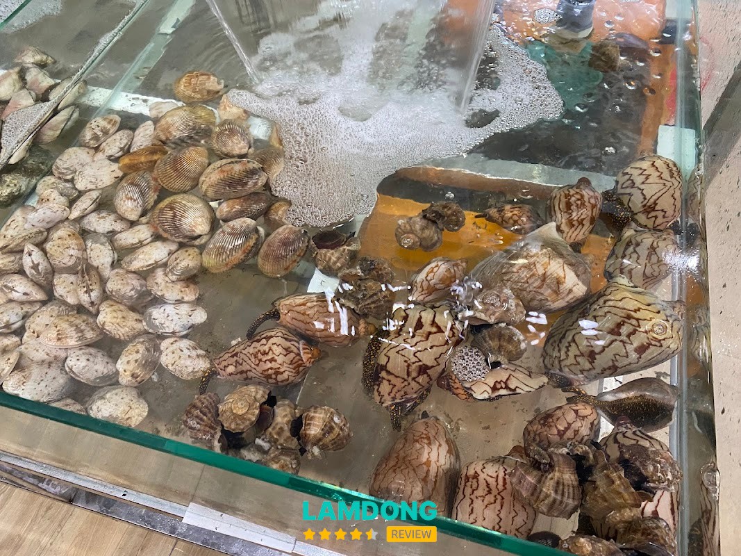 Quán ăn Hải Sản Sao Biển – hải sản