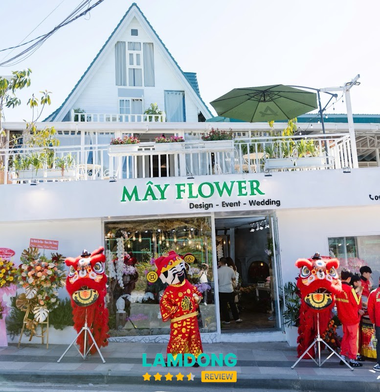 Shop Lan Hồ Điệp Đà Lạt - Hoa Tươi Mây Flower – Nguyên Tử Lực