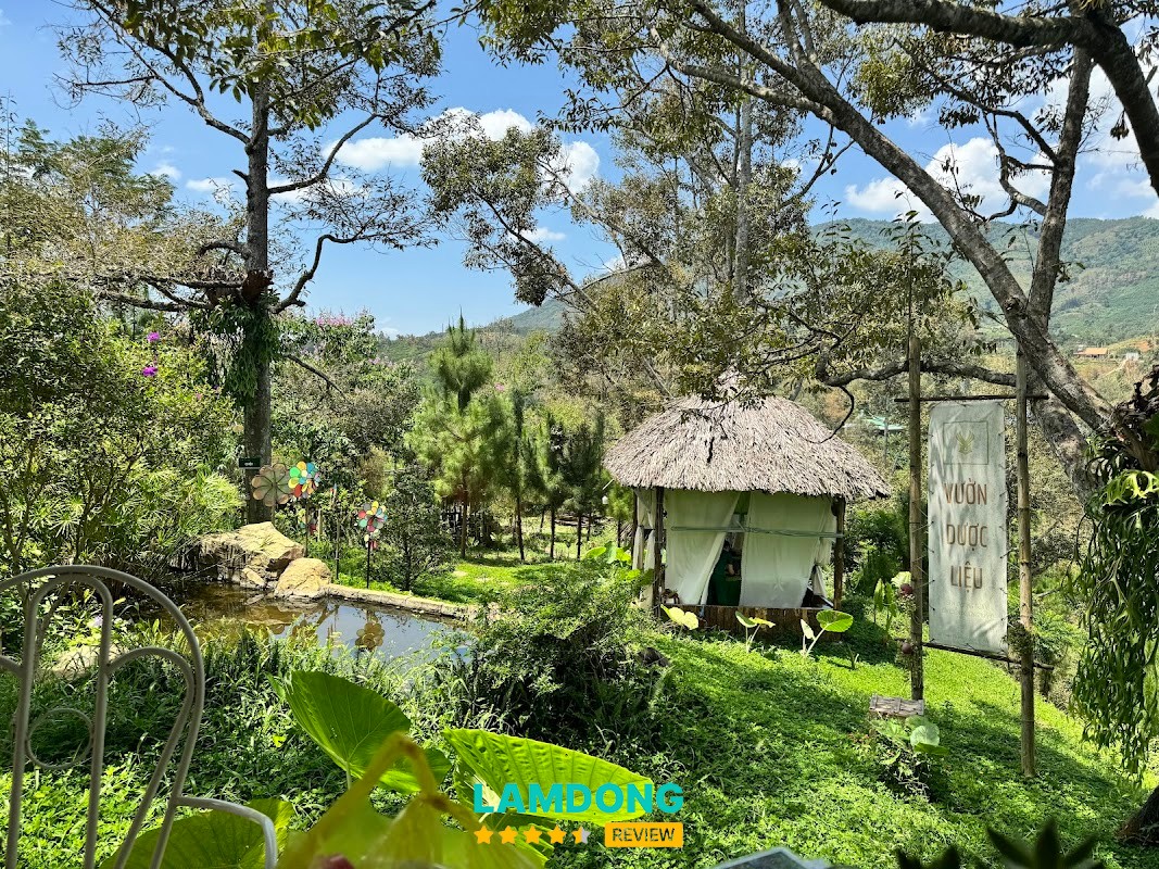 Spa Vườn Dược Liệu – massage thảo dược