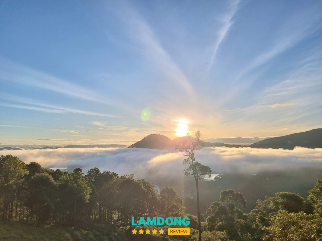Sivananda Yoga Resort không gian retreat