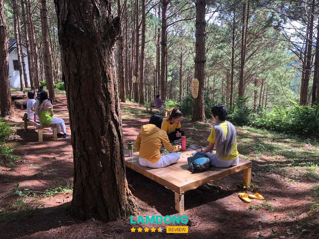 Sivananda Yoga Resort thiền và yoga
