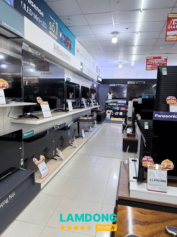 Điện Máy Chợ Lớn – điện máy nội thất