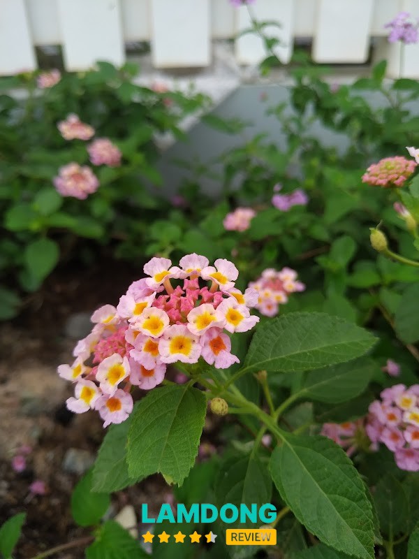 Trung tâm sửa chữa máy tính PTTech – 235 Trần Quý Cáp, Phan Thiết
