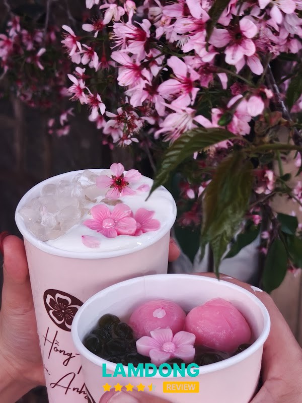 Hồng trà Hoa Anh Đào Đà Lạt – hồng trà sữa